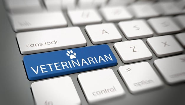 veterinarian-marketing.jpg